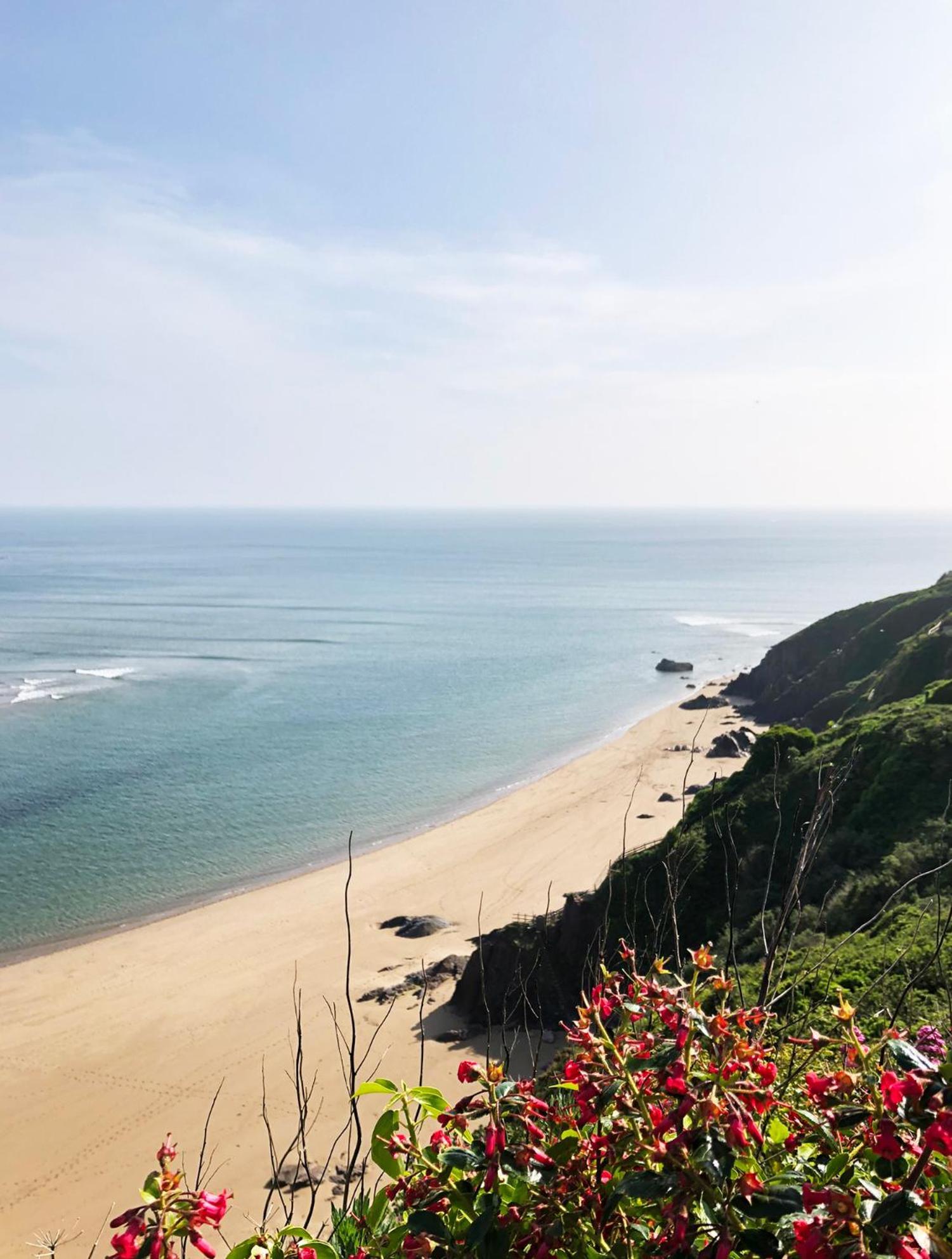 Cosy Beachside Cottage Bigbury Extérieur photo